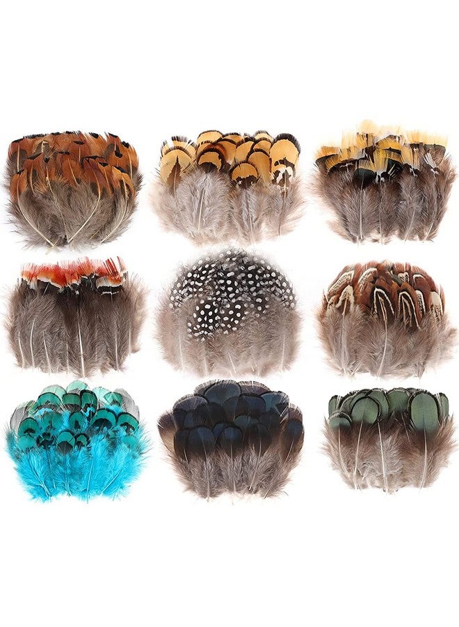 MWOOT 9 Styles Assorted Crafts Feathers, 180Pcs Diy Dreamcatcher Crafts Art Decor Feathers, Diy Earring Wings Carnival Party Mask Activities Project Accessories Small Feather Mixed Green Blue Brown - Image 1