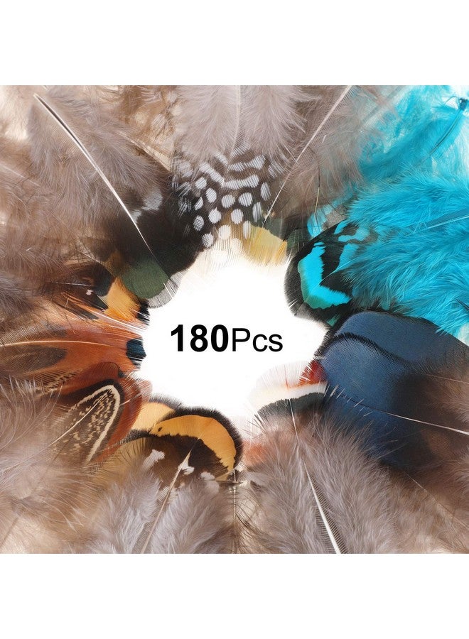 MWOOT 9 Styles Assorted Crafts Feathers, 180Pcs Diy Dreamcatcher Crafts Art Decor Feathers, Diy Earring Wings Carnival Party Mask Activities Project Accessories Small Feather Mixed Green Blue Brown - Image 2