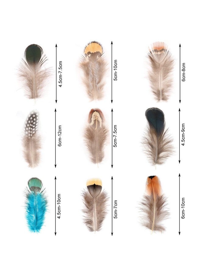MWOOT 9 Styles Assorted Crafts Feathers, 180Pcs Diy Dreamcatcher Crafts Art Decor Feathers, Diy Earring Wings Carnival Party Mask Activities Project Accessories Small Feather Mixed Green Blue Brown - Image 4