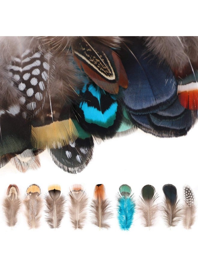 MWOOT 9 Styles Assorted Crafts Feathers, 180Pcs Diy Dreamcatcher Crafts Art Decor Feathers, Diy Earring Wings Carnival Party Mask Activities Project Accessories Small Feather Mixed Green Blue Brown - Image 3