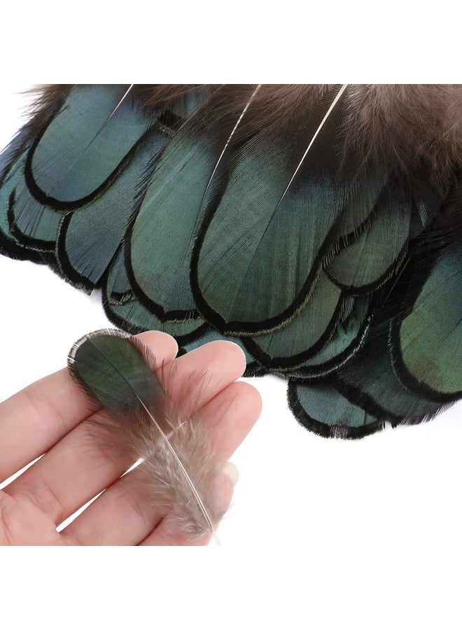 MWOOT 9 Styles Assorted Crafts Feathers, 180Pcs Diy Dreamcatcher Crafts Art Decor Feathers, Diy Earring Wings Carnival Party Mask Activities Project Accessories Small Feather Mixed Green Blue Brown - Image 5