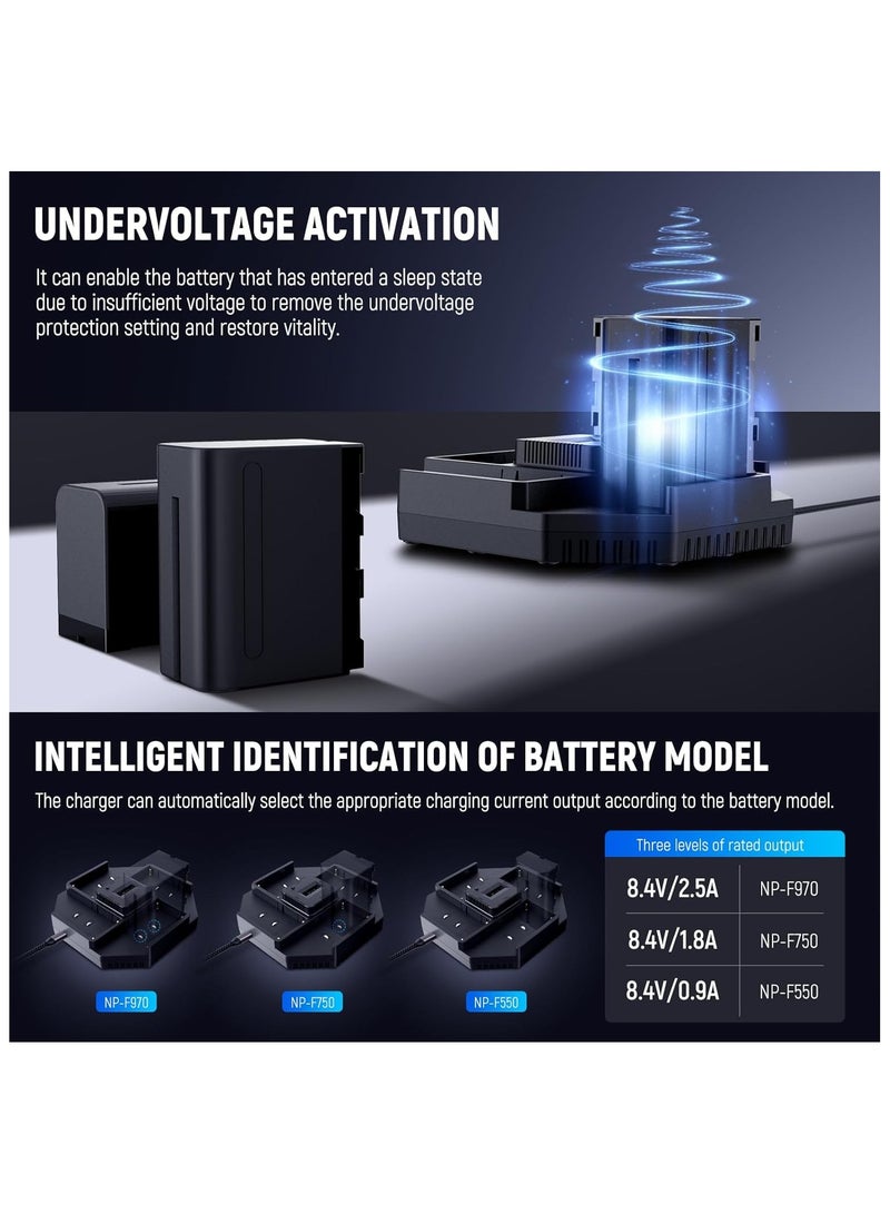 NEEWER NW-F4 NP-F Battery 4-Channel PD100W Fast Charger – Fast Charging for NP-F Batteries (with PD100W Power Supply) - Image 4