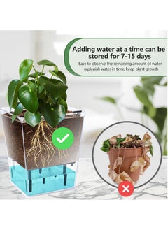 Generic SYOSI 3 Pack Self Watering Planters, 5/4.1/2.7 Inch Self Watering Pots for Indoor Plants, Clear Plastic Self Watering Plant Pots with Deep Reservoir for Spider Plants, Orchids, African Violets, Ivy  - Image 5