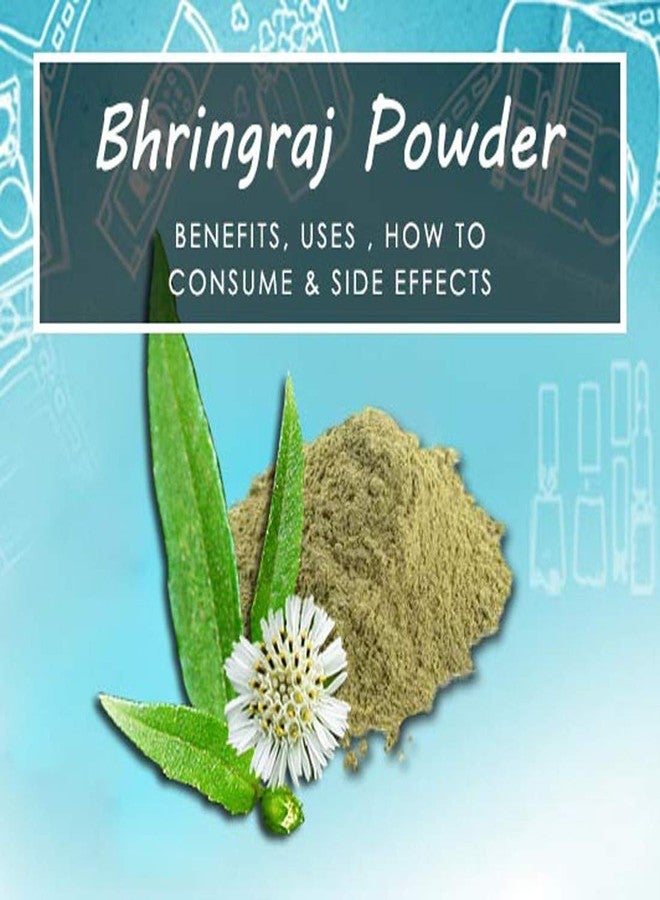 Olvedic 100% Pure Organic Bhringraj Powder For Hair & Skin Care-Pack of 3 (150 gm Each) - Image 3