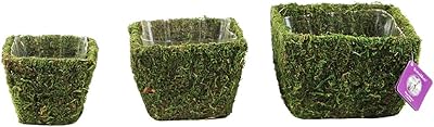 SuperMoss SuperMoss Super Moss (55000) Windsor, Fresh Green, Set of 3 (S/M/L)  - Image 1