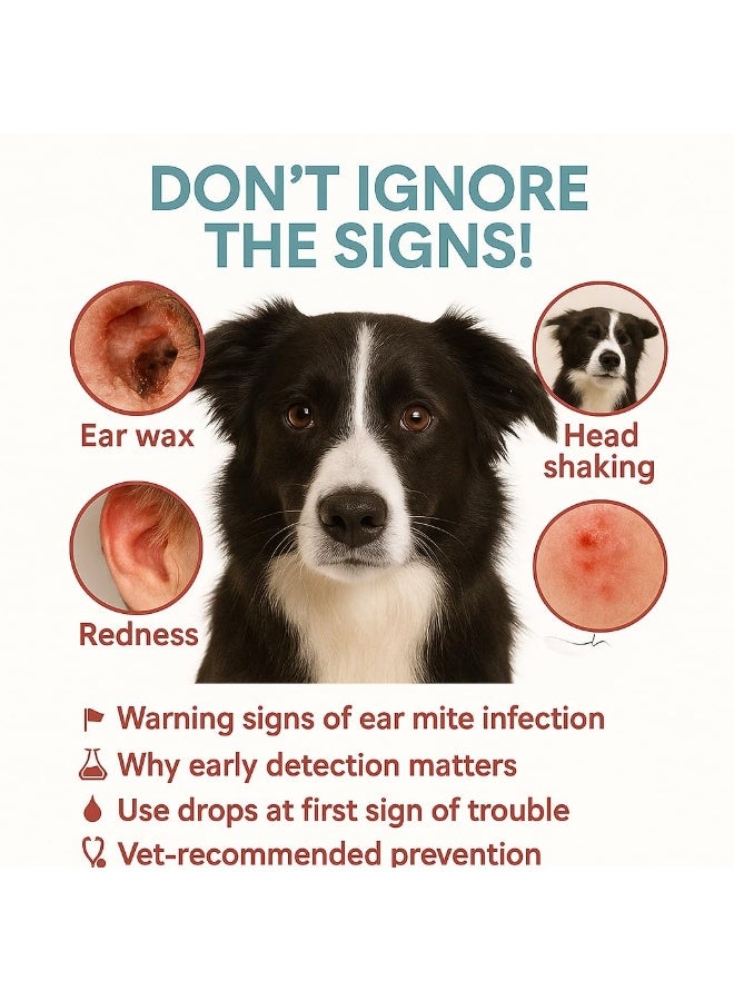 Bioline Ear Mite Treatment for Dogs & Cats | 30ml Pet Ear Cleaner Solution | Anti-Itch, Mite Removal Drops | Safe, Natural Formula | Vet-Recommended Pet Ear Hygiene Care for All Breeds - Image 5