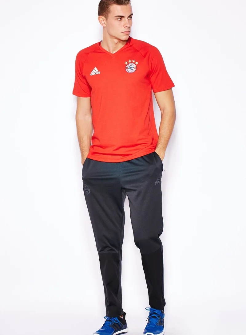 Adidas FC Bayern Authentic T-Shirt