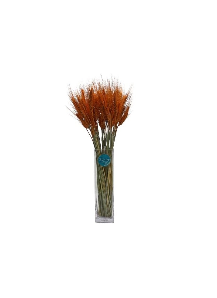 Generic Natural Dried Wheat Grass Bundle Artificial Wheat Dried Flowers (Orange, 100)  - Image 2