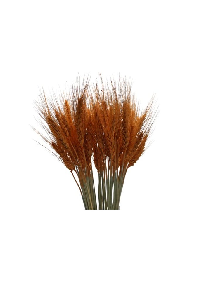 Generic Natural Dried Wheat Grass Bundle Artificial Wheat Dried Flowers (Orange, 100)  - Image 4