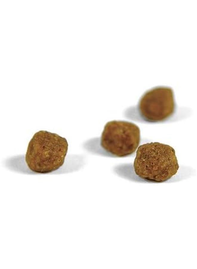 جوزيرا قطة 2 كجم - Image 2