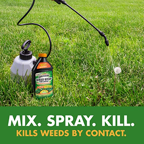 Spectracide Weed Stop For Lawns Plus Crabgrass Killer Concentrate, Weed Killer, 32 Ounces - Image 3