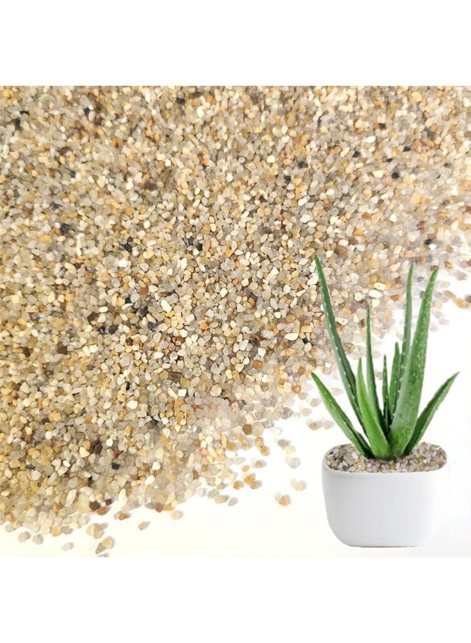 HappyFiller Coarse Silica Sand, Natural Vase Filler for Crafts & Terrariums, 2 LB - Image 1