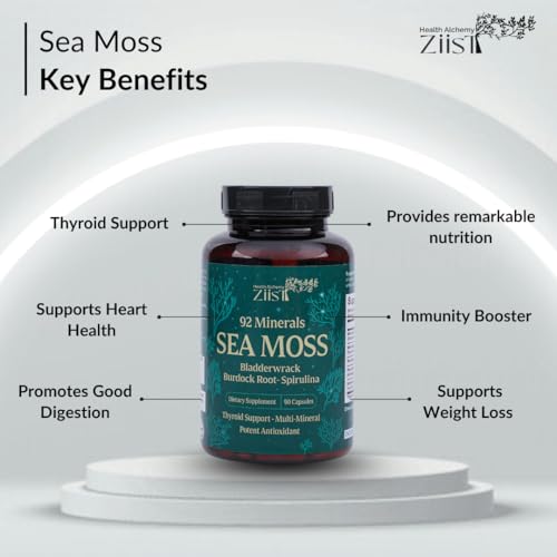 Ziist Wildcrafted Sea Moss Supplement – 90 Veg Capsules | with Bladderwrack, Burdock Root & Spirulina | Natural Superfood for Energy & Immunity - Image 5