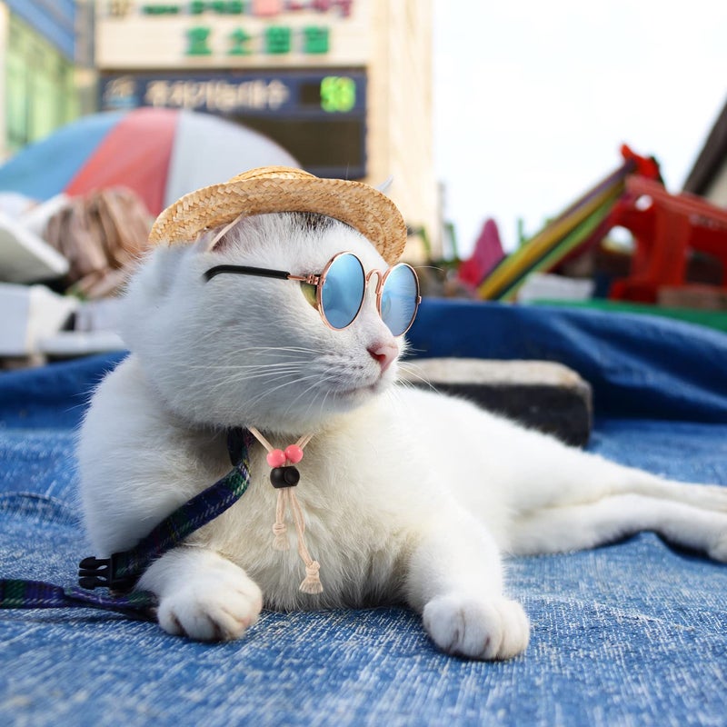 Weewooday 6 Pieces Dog Cat Costume, Pet Sunglasses and Summer Straw Hat with Faux Gold Chain Collar, Classic Funny Pet Accessories for Cat Puppy Small Medium Dog(Cool Style,Stylish Colors) - Image 4