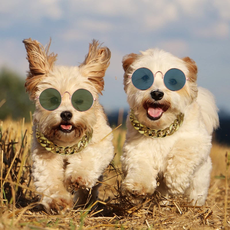 Weewooday 6 Pieces Dog Cat Costume, Pet Sunglasses and Summer Straw Hat with Faux Gold Chain Collar, Classic Funny Pet Accessories for Cat Puppy Small Medium Dog(Cool Style,Stylish Colors) - Image 5