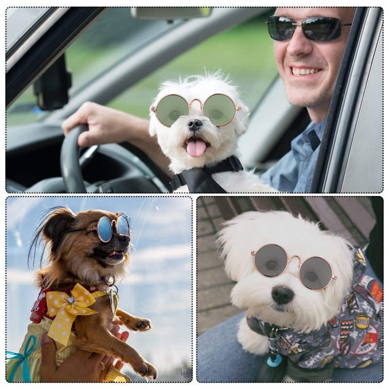 Weewooday 6 Pieces Dog Cat Costume, Pet Sunglasses and Summer Straw Hat with Faux Gold Chain Collar, Classic Funny Pet Accessories for Cat Puppy Small Medium Dog(Cool Style,Stylish Colors) - Image 3