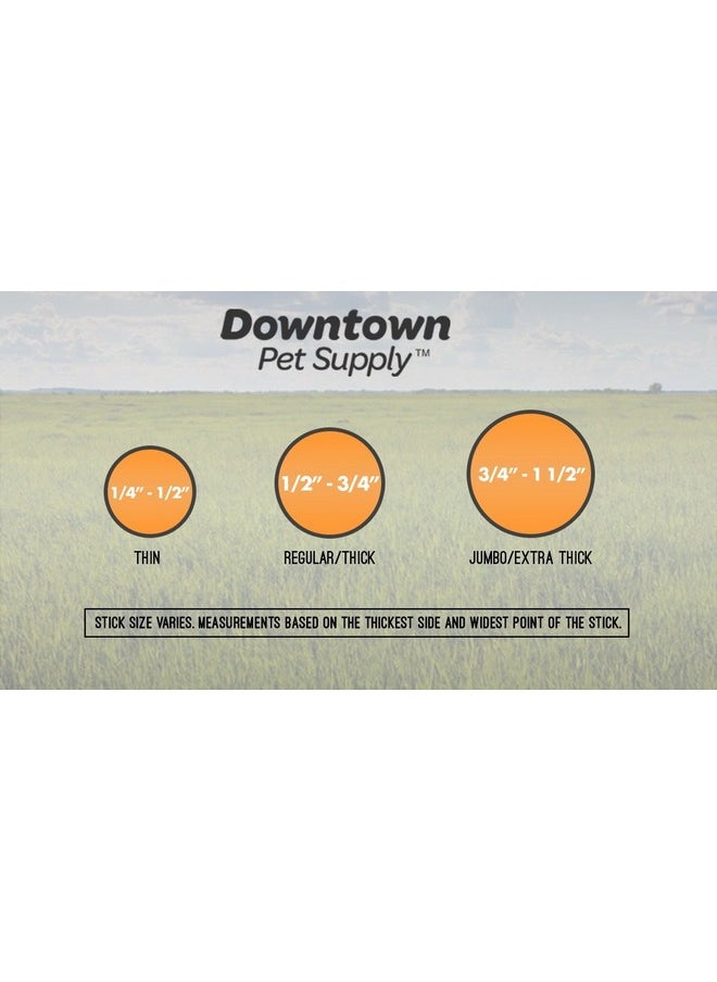 Downtown Pet Supply Downtown Pet Supply - Bully Sticks for Dogs - Dog Dental Treats & Rawhide-Free Dog Chews - Dog Treats with Protein, Vitamins & Minerals- Natural Beef Sticks - 12 in - 1 lb  - Image 5