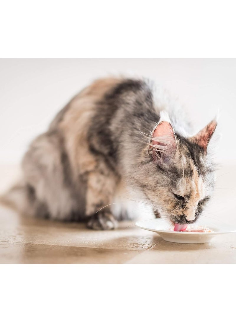 Schesir Complete & Balanced Nutrition Wet Cat Food in Jelly Can- Tuna With Beef 140g [MOQ:8pcs] - Image 2