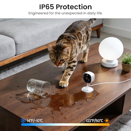 AOQEE 2K Cameras for Home Security-Outdoor/Indoor Camera for Dog/Cat/Pet/Nanny/Baby/Elderly, Color Night Vision, White Light, Siren, 24/7 SD Recordings, Works with Alexa, Plug in (C1-White-2pack-2.4G) - Image 5