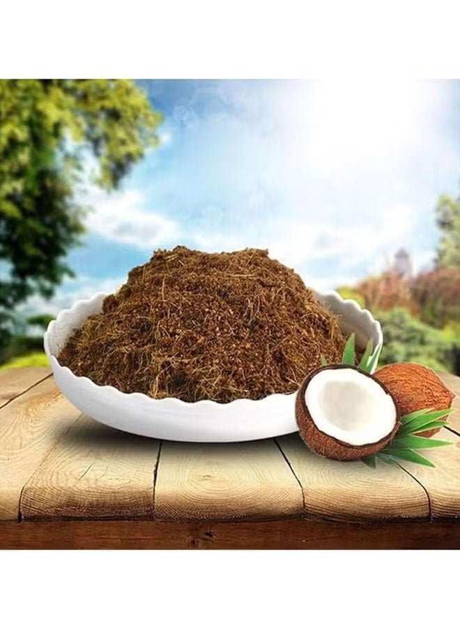 Happy D 25 Pcs Compressed Coconut Peat Disk,Low-Salt Seedling Development Substrate for Seed Starting, Gardening, Potting, and Organic Plant Care – Expands with Water – Eco-Friendly Peat Moss Alternative - Image 4