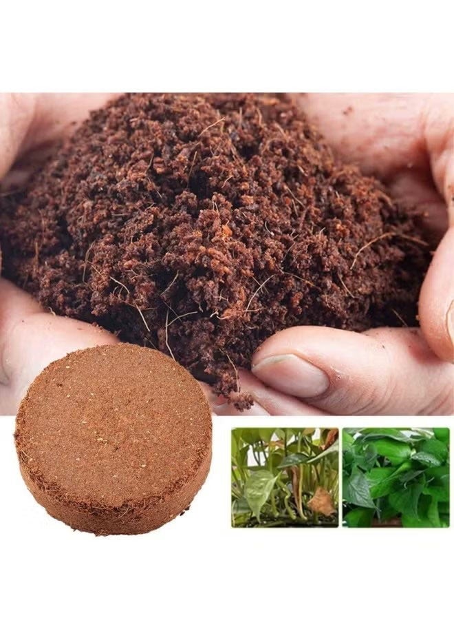 Happy D 25 Pcs Compressed Coconut Peat Disk,Low-Salt Seedling Development Substrate for Seed Starting, Gardening, Potting, and Organic Plant Care – Expands with Water – Eco-Friendly Peat Moss Alternative - Image 3