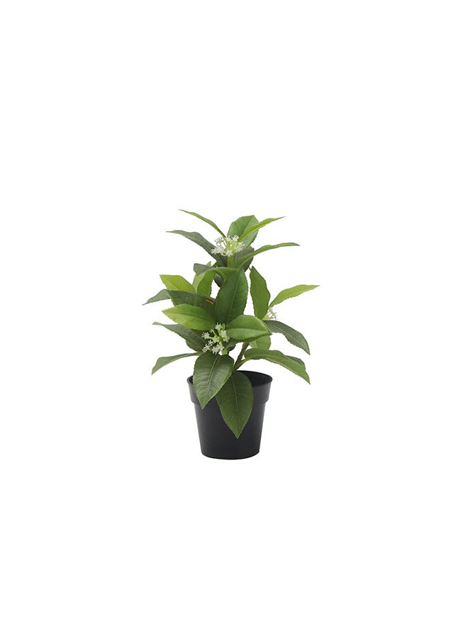 Generic Artificial Plant  - Image 1