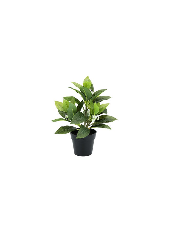 Generic Artificial Plant  - Image 3