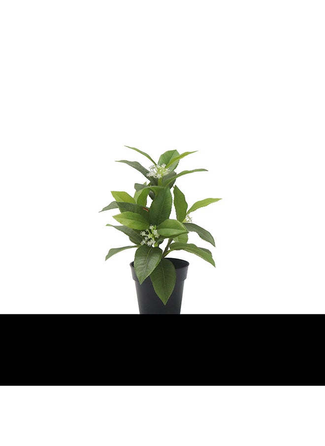 Generic Artificial Plant  - Image 2