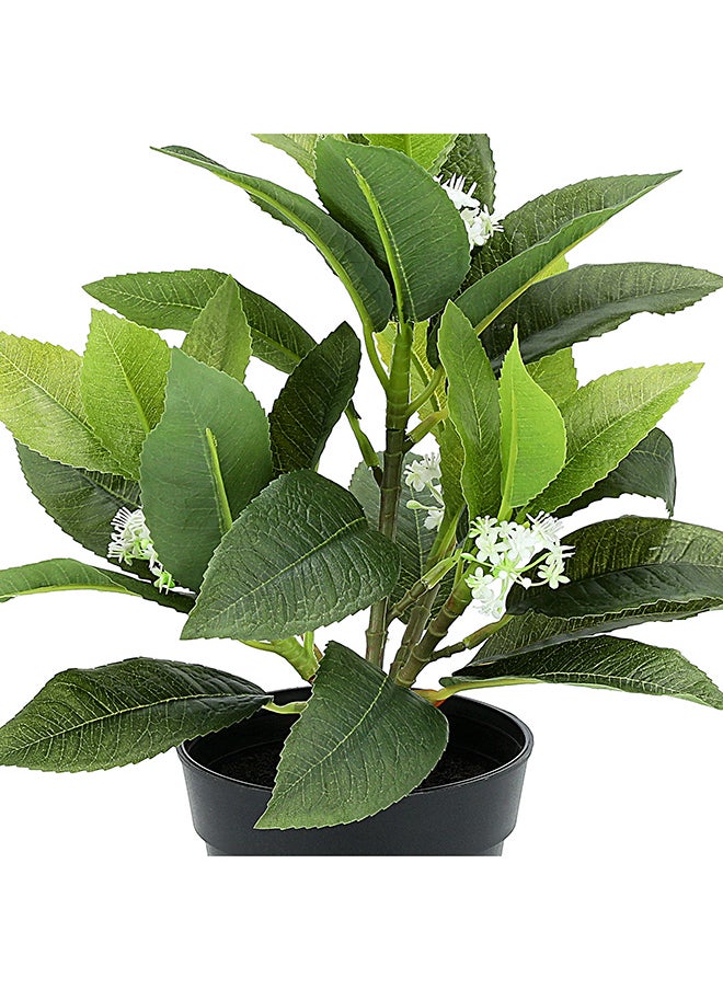 Generic Artificial Plant  - Image 4