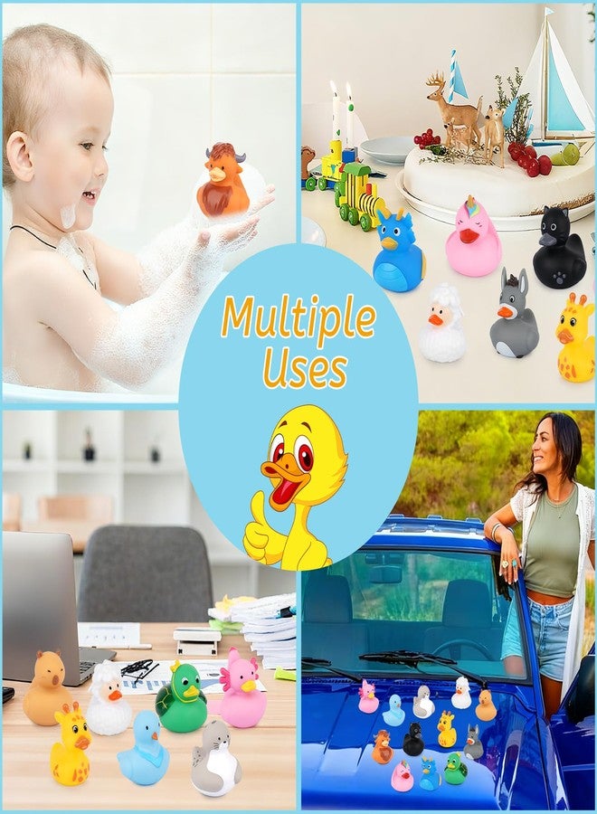 Prewplam 12PCS Rubber Ducks - Assorted Rubber Ducks with Black Cat,Highland Cow,Sheep Bath Toys,Toddler No Hole Ducks for Jeeps,Baby Bath Toys, Animal Bath Duckies for Baby Shower Pool Party Favors - Image 4