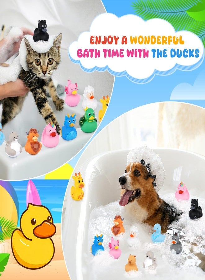 Prewplam 12PCS Rubber Ducks - Assorted Rubber Ducks with Black Cat,Highland Cow,Sheep Bath Toys,Toddler No Hole Ducks for Jeeps,Baby Bath Toys, Animal Bath Duckies for Baby Shower Pool Party Favors - Image 5