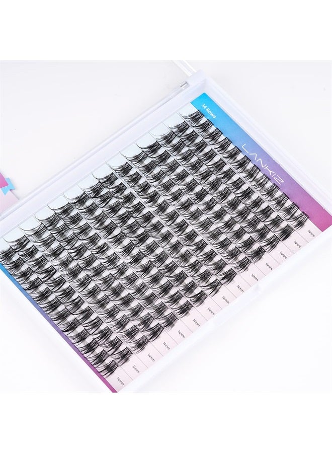 LANKIZ DIY Eyelash Extensions,Individual Lash Extensions Clusters,168 Clusters, Soft and Lightweight 14mm Only Mix Resuale Wide Band Cluster Lashes for Home use (Common D curl) - Image 1