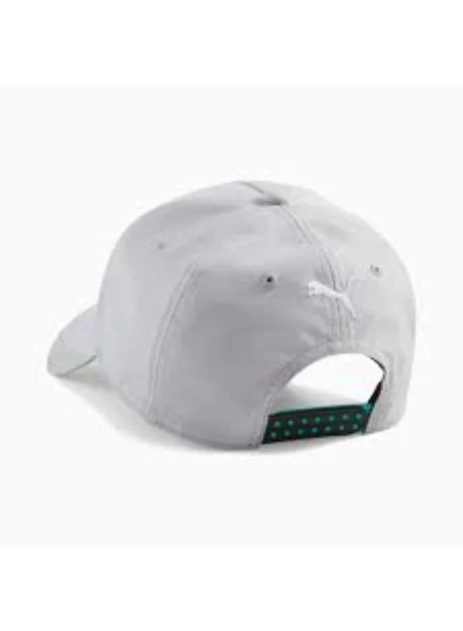 AMG Petronas Formula 1 Team AMG CAP
