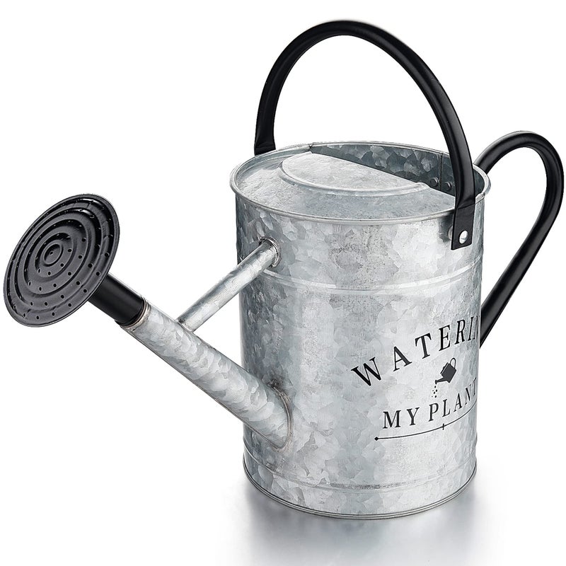 Garutom Galvanized Watering Can for Outdoor Indoor Plants 1 Gallon Decorative Countryside Style Water Can with Removable Spout Perfect Metal Watering Can for Indoor Plants and Garden Flower