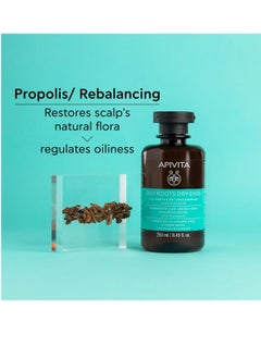 Apivita Apivita Oily Roots and Dry Ends Shampoo 8.45 Fl.oz. | Natural Honey & Panthenol Shampoo for Oiliness Balancing and Split-Ends Repairing | Leaves Hair Smooth, Lightweight and Full of Volume  - Image 2