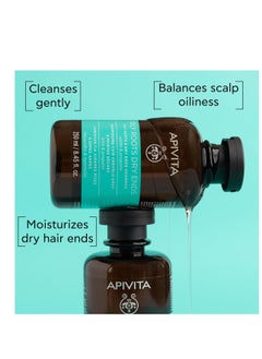 Apivita Apivita Oily Roots and Dry Ends Shampoo 8.45 Fl.oz. | Natural Honey & Panthenol Shampoo for Oiliness Balancing and Split-Ends Repairing | Leaves Hair Smooth, Lightweight and Full of Volume  - Image 4