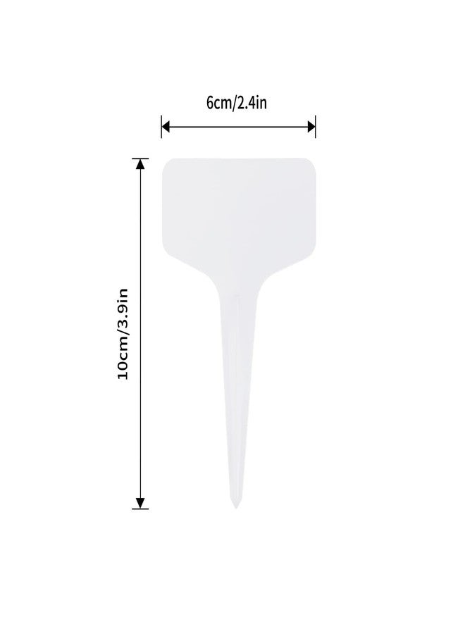 KINGLAKE 100 Pcs 6 x10cm Plastic Plant T-Type Tags Nursery Garden Labels - Image 2