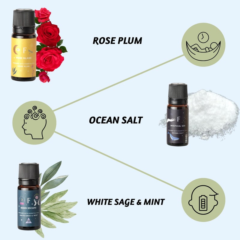 Folkulture Essential Oils for Diffuser Oil | Set of 6 Fragrance Oil or Diffuser Oils Scents for Home | Diffuser Essential Oil | Fragrance Oil for Diffusers- White Sage, Cedarwood - Image 3