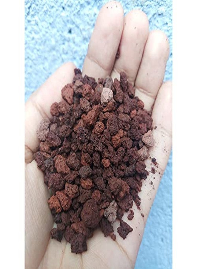 رقائق الحمم البركانية الحمراء من VAYINATO Petzlifeworld لقاعدة حوض السمك كرمل مغذي وللنباتات الداخلية (1 كجم) - Image 4