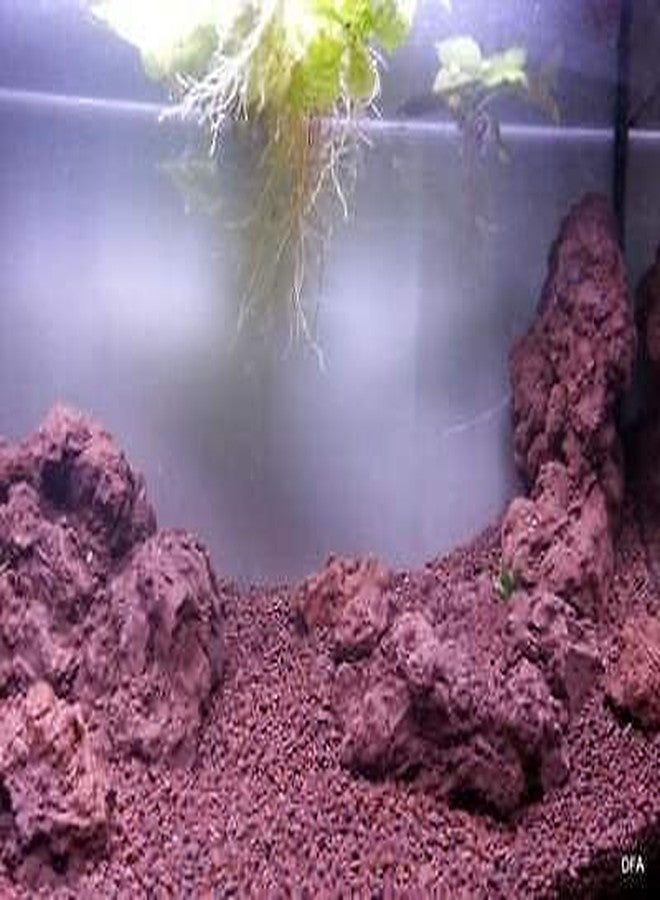 رقائق الحمم البركانية الحمراء من VAYINATO Petzlifeworld لقاعدة حوض السمك كرمل مغذي وللنباتات الداخلية (1 كجم) - Image 5