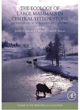 Go for English Workbook: Level 3 - pzsku/Z69A9C6334F7623A2CDC4Z/45/_/1741600892/567f3084-470b-4b73-89b7-cfc6ba2f0de5