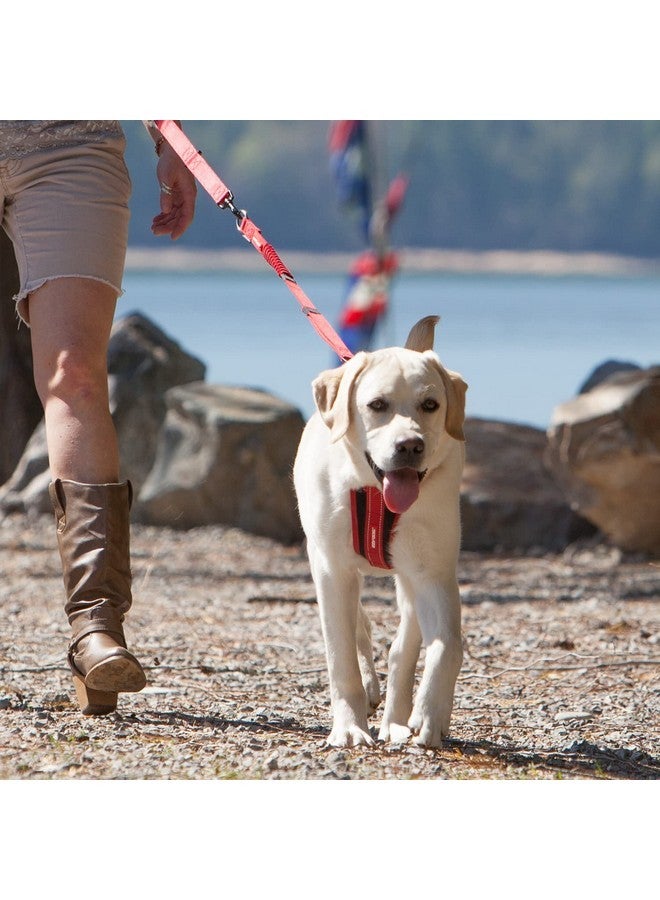 إيزي دوج وصلة سلسلة EzyDog Zero Shock - وصلة سلسلة مطاطية لامتصاص الصدمات للكلاب التي تسحب أو تثير، مع مقبض للتحكم في الحركة (24 بوصة، أسود) - Image 2