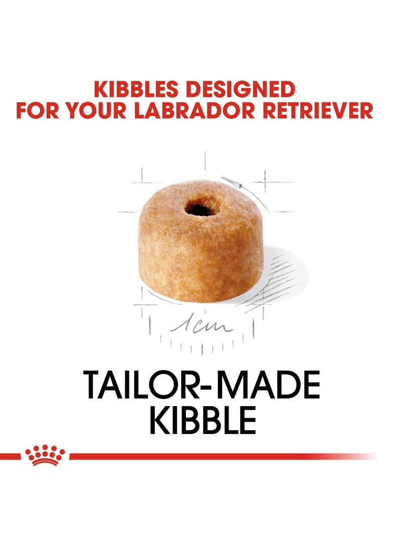 Royal Canin Breed Health Nutrition Labrador Puppy 3 KG - Image 2