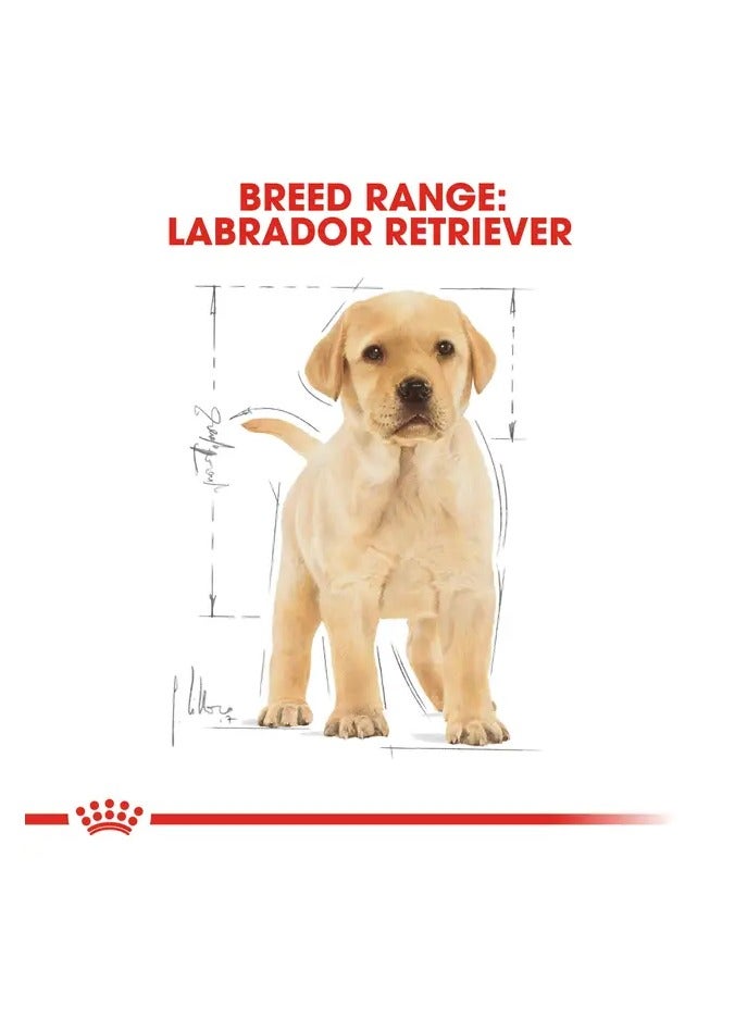 Royal Canin Breed Health Nutrition Labrador Puppy 3 KG - Image 5