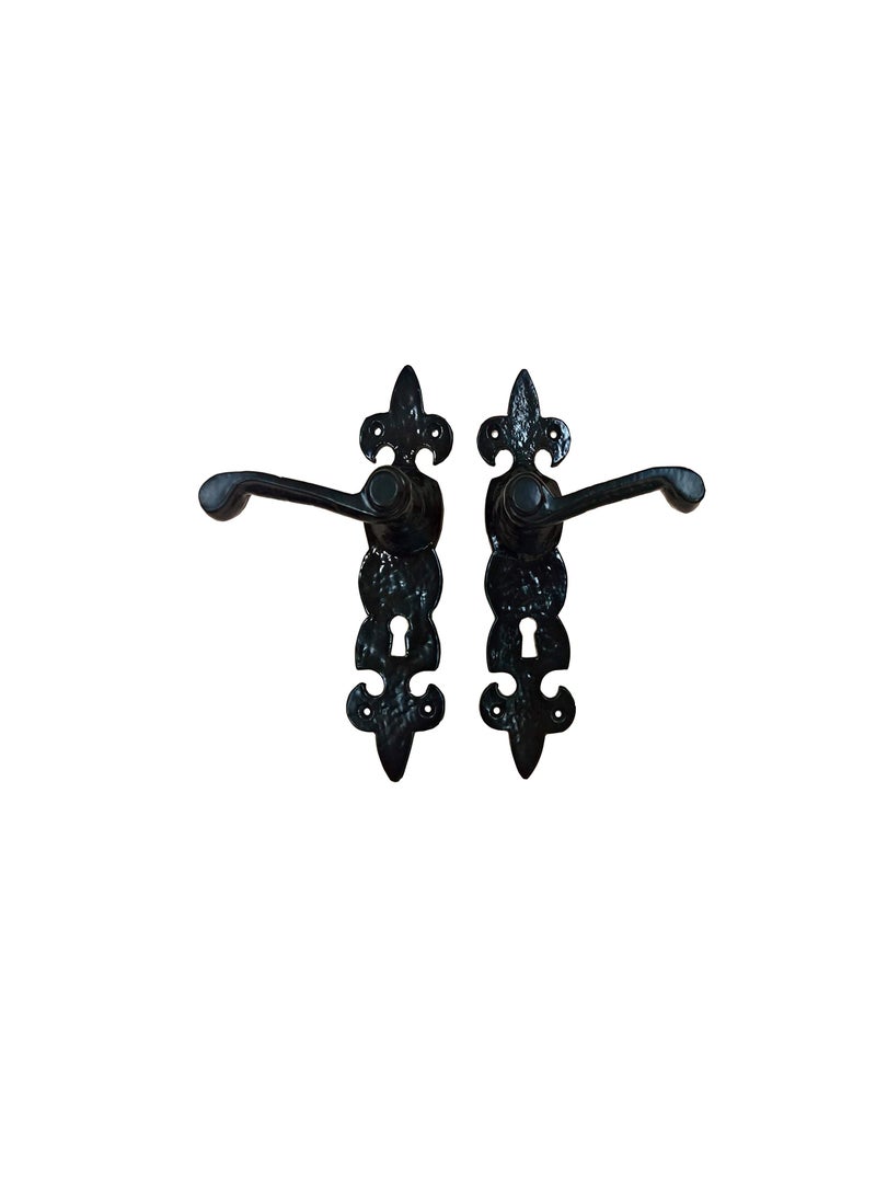 ROBUSTLINE ROBUSTLINE Antique Door Handle - Cast Iron Material | Fleur-De-Lis Design | Black color - Image 3
