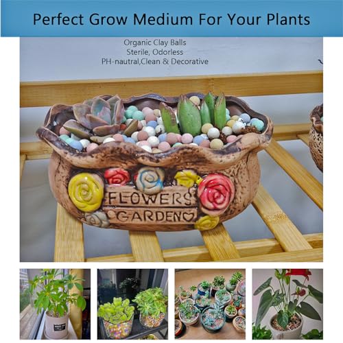 Rurtsva Natural Organic Colorful Leca Balls 2LBS for Plants, 8mm-10mm Ceramsite Clay Pebbles Indoor Potting Garden Soil for Orchid, Succulents, Hydroponics, Decoration, Drainage (2LBS, Colorful, 1) - Image 3