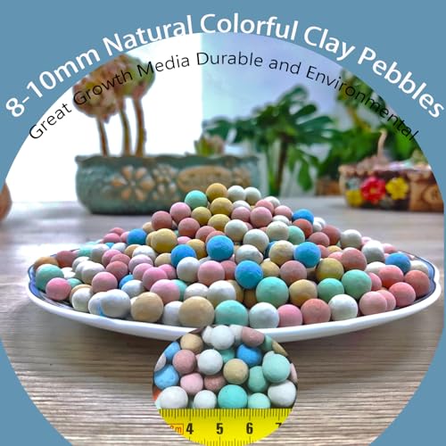 Rurtsva Natural Organic Colorful Leca Balls 2LBS for Plants, 8mm-10mm Ceramsite Clay Pebbles Indoor Potting Garden Soil for Orchid, Succulents, Hydroponics, Decoration, Drainage (2LBS, Colorful, 1) - Image 2