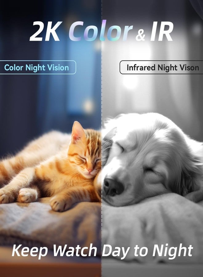 blurams Pet Camera 2K, Dog Camera with Phone App, Indoor Security Camera PTZ, 360° Cameras for Home Security Indoor, Color Night Vision, 2-Way Talk, Motion Detection&Tracking, Cloud&SD(2.4GHz Only) - Image 3