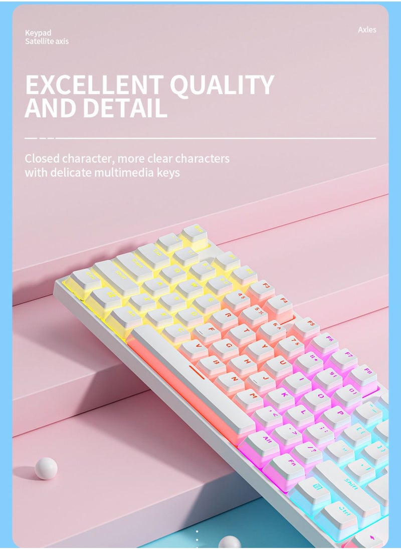 Generic - Mechanical Keyboard 87 Keys Blue Switch Pudding Keycaps RGB Backlit Wired Gaming Keyboard 25-Key Rollover Anti-Ghosting - White Blue Switch - Image 1