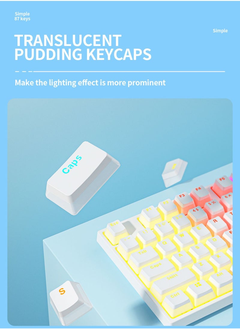 Generic - Mechanical Keyboard 87 Keys Blue Switch Pudding Keycaps RGB Backlit Wired Gaming Keyboard 25-Key Rollover Anti-Ghosting - White Blue Switch - Image 1